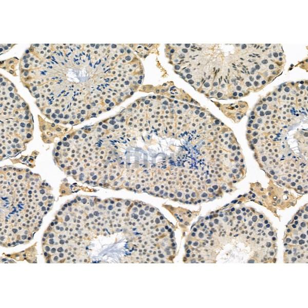 Валидация Affinity DF3311 - 14175