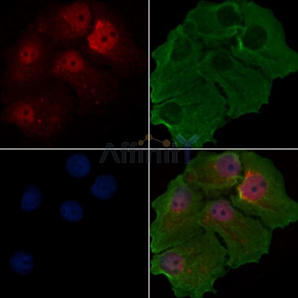 Валидация Affinity AF7699 - 4388