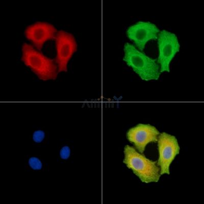 Валидация Affinity DF14727 - 10800