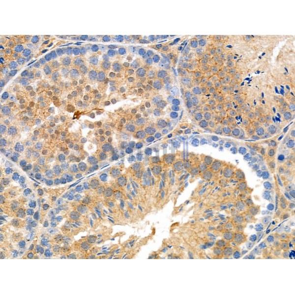 Валидация Affinity DF2996 - 13734