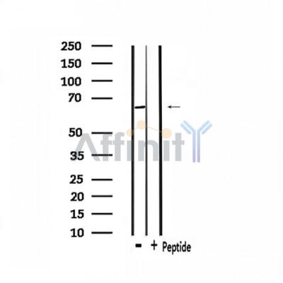 Валидация Affinity DF3311 - 14174