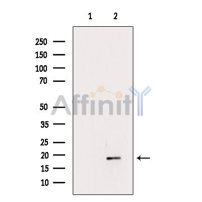 Валидация Affinity DF8367 - 20232