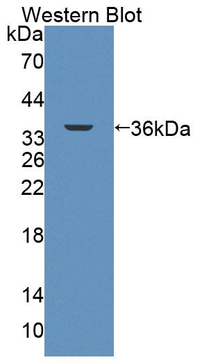 59490