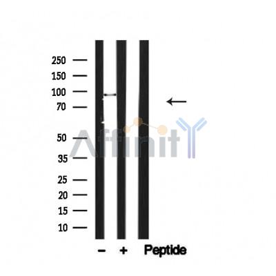 Валидация Affinity AF4711 - 2328