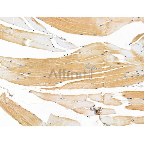 Валидация Affinity DF4646 - 16299