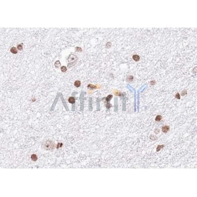 Валидация Affinity AF5268 - 2787