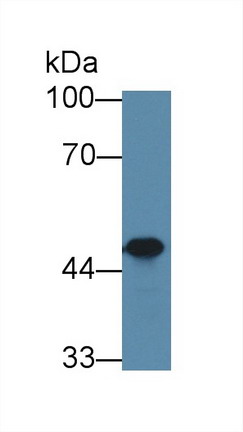 8892