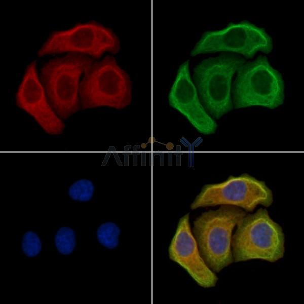 Валидация Affinity DF10076 - 5559