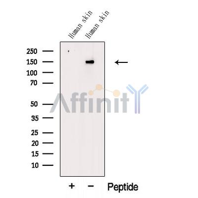 Валидация Affinity DF12530 - 7131