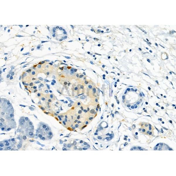 Валидация Affinity DF8991 - 21194