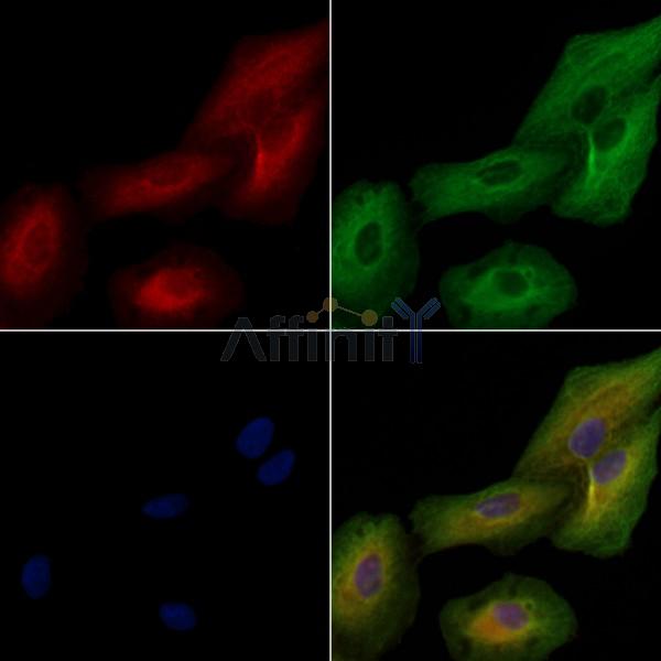 Валидация Affinity DF2523 - 13179