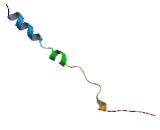 Integrin Beta 3 (ITGb3) Integrin Beta 3 (ITGb3)