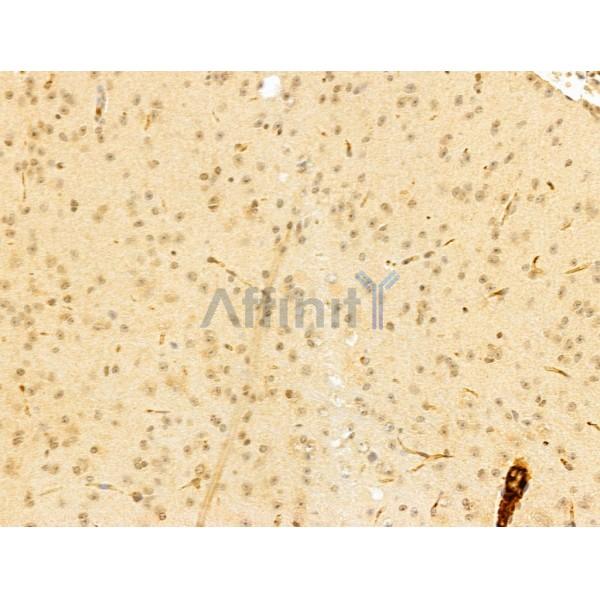 Валидация Affinity DF13033 - 7858