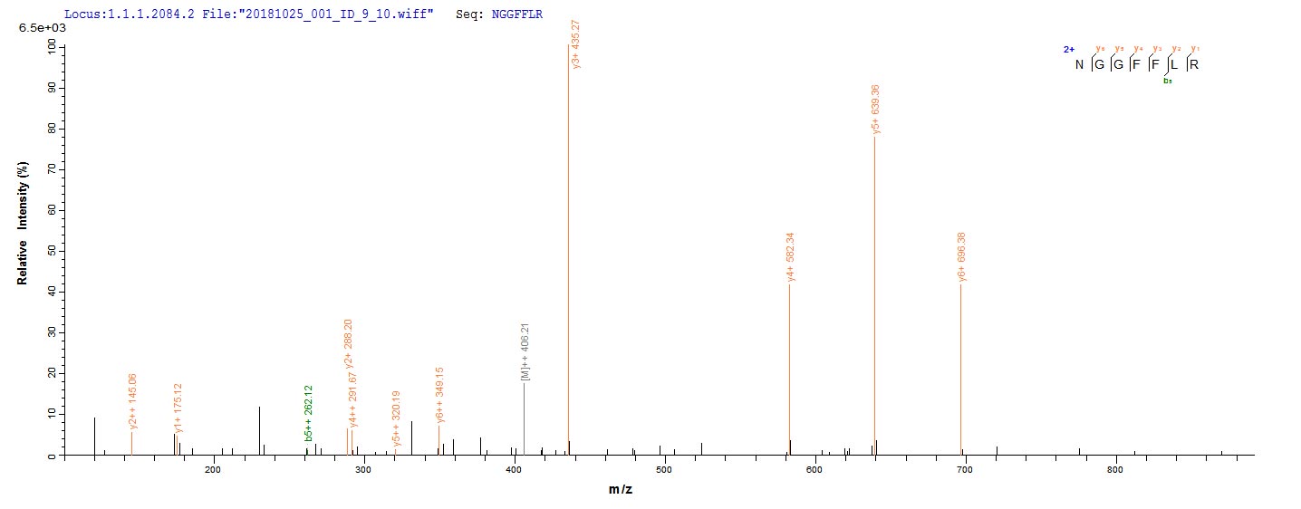 LC-MS/MS