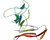 Interleukin 2 Receptor Alpha (IL2Ra) Interleukin 2 Receptor Alpha (IL2Ra)