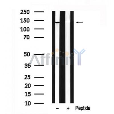 Валидация Affinity AF7611 - 4281