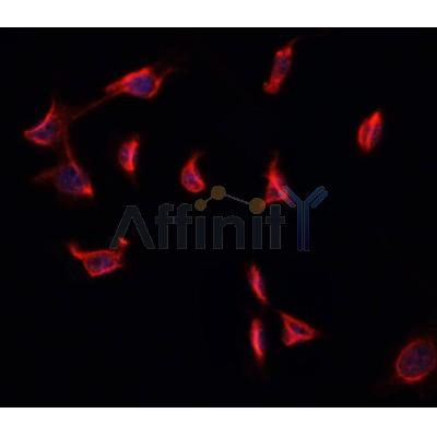 Валидация Affinity DF2911 - 13645