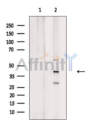Валидация Affinity DF4065 - 15336