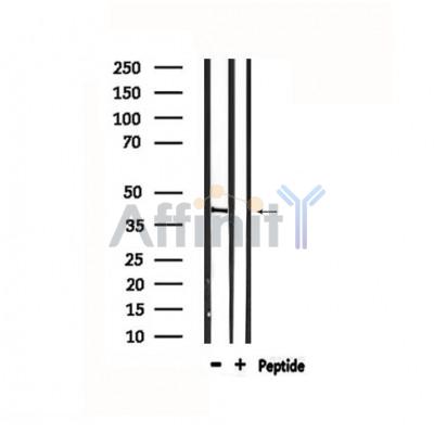 Валидация Affinity DF4865 - 16640