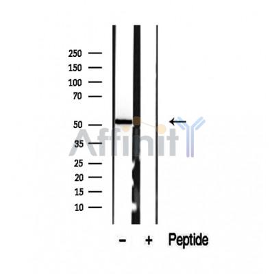 Валидация Affinity DF12482 - 7046