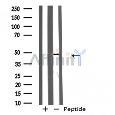 Валидация Affinity DF4901 - 16699