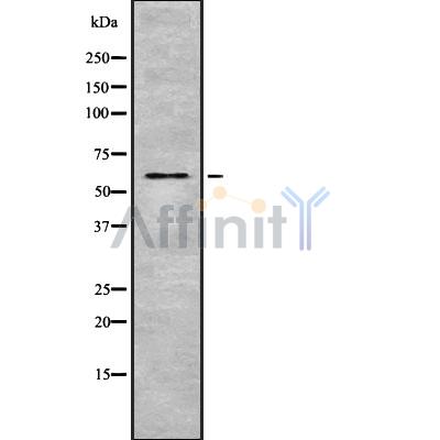 Валидация Affinity DF8535 - 20412