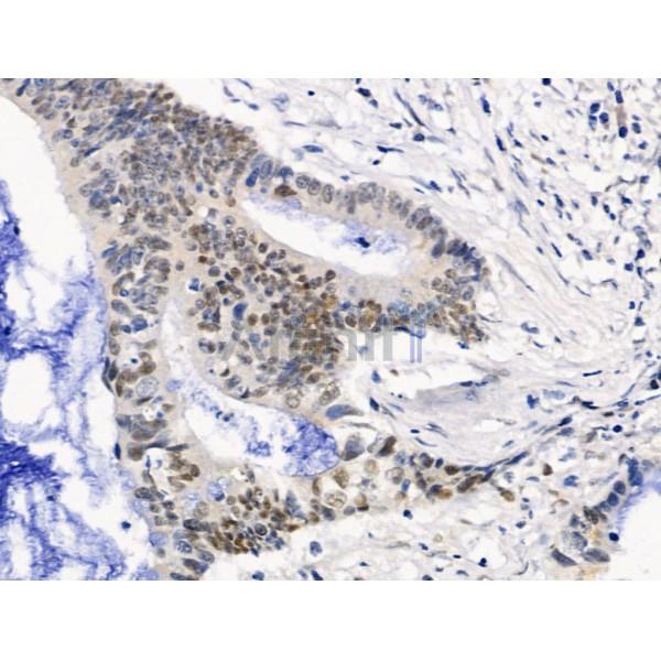 Валидация Affinity AF5317 - 2879