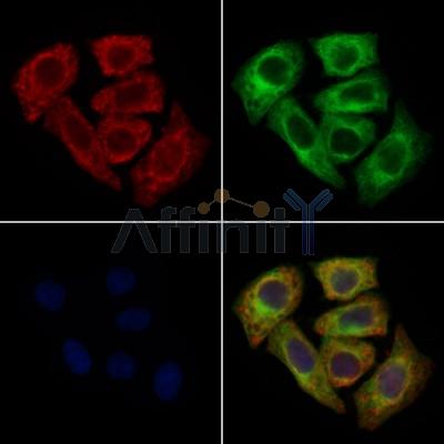 Валидация Affinity DF10208 - 5766