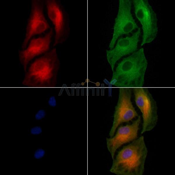 Валидация Affinity DF9145 - 21488