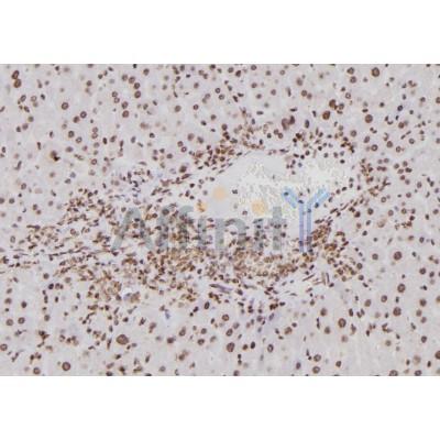 Валидация Affinity DF6534 - 17960