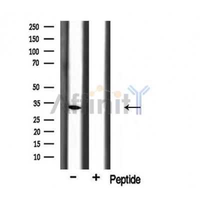 Валидация Affinity DF3744 - 14811