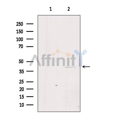Валидация Affinity DF2731 - 13458