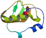 Melanocortin 2 Receptor Accessory Protein 2 (MRAP2) Melanocortin 2 Receptor Accessory Protein 2 (MRAP2)