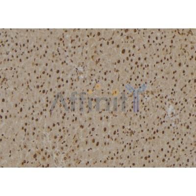 Валидация Affinity DF6761 - 18323