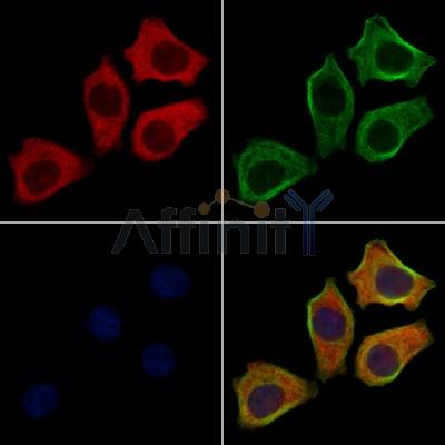 Валидация Affinity DF10158 - 5689