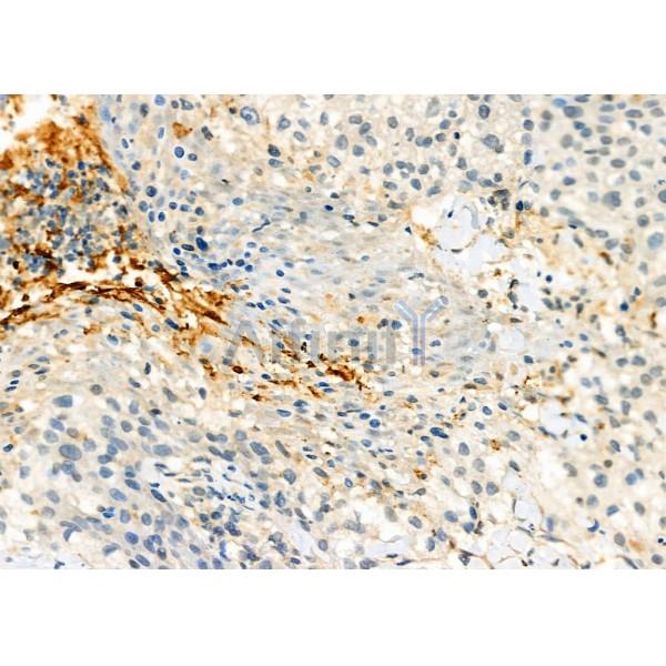 Валидация Affinity AF9021 - 4749