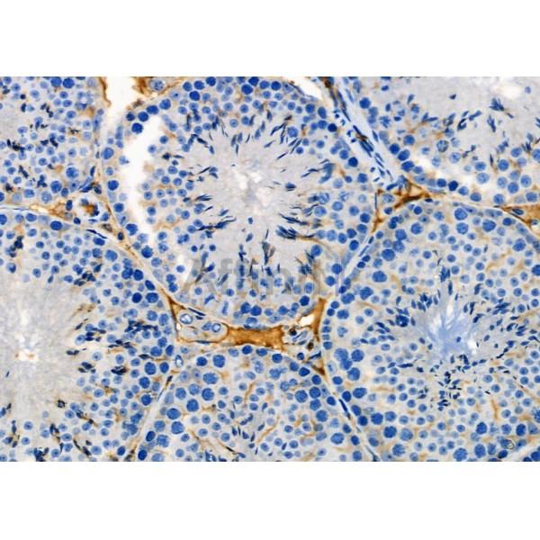 Валидация Affinity DF7741 - 19543