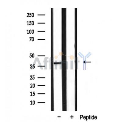 Валидация Affinity DF3369 - 14246