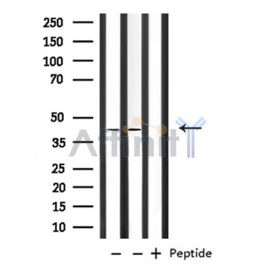 Валидация Affinity DF6856 - 18431