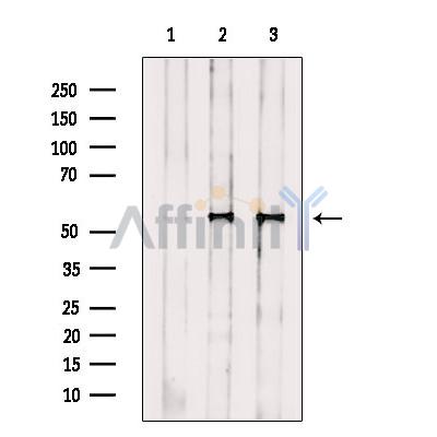 Валидация Affinity DF13750 - 9405