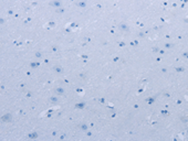 Валидация AssayVector ARM1073(210)