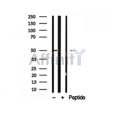Валидация Affinity AF7770 - 4478