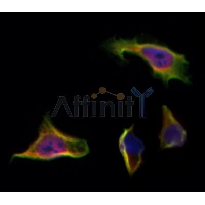 Валидация Affinity DF4632 - 16271