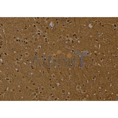 Валидация Affinity DF2929 - 13669