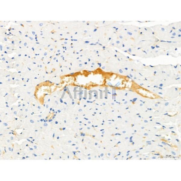 Валидация Affinity AF4001 - 2104