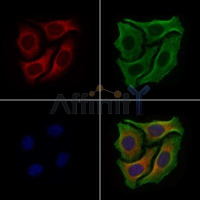 Валидация Affinity DF9469 - 22060