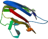 Paired Immunoglobin Like Type 2 Receptor Alpha (PILRa) Paired Immunoglobin Like Type 2 Receptor Alpha (PILRa)