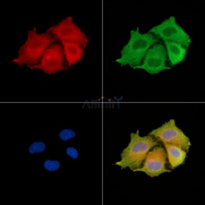 Валидация Affinity DF9012 - 21230