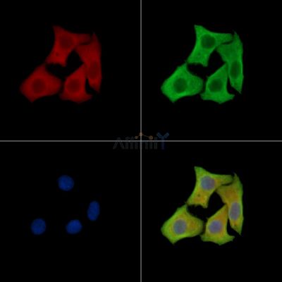 Валидация Affinity DF15758 - 12234