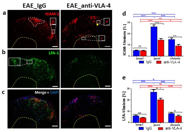 Валидация AssayVector ARM1317(851)